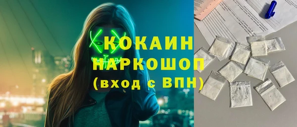 индика Бородино