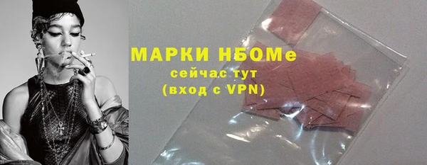 индика Бородино