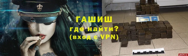 индика Бородино