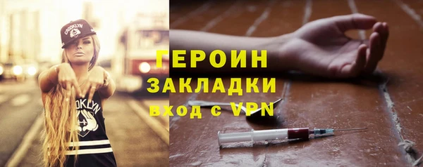 индика Бородино