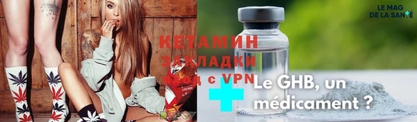 индика Бородино