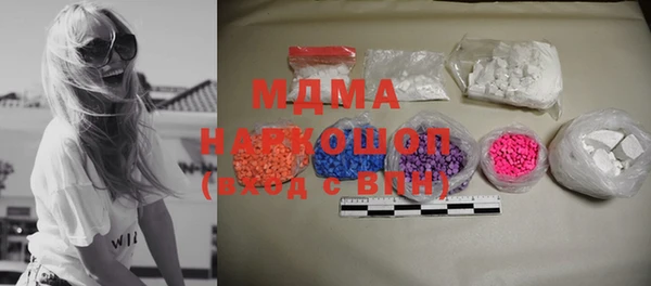 индика Бородино