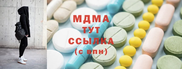 индика Бородино