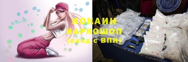 индика Бородино