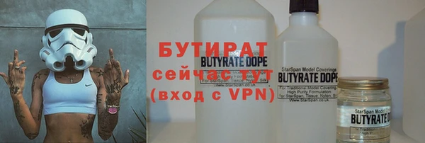 индика Бородино