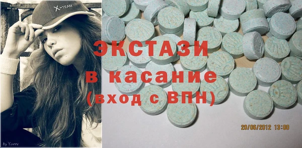 индика Бородино