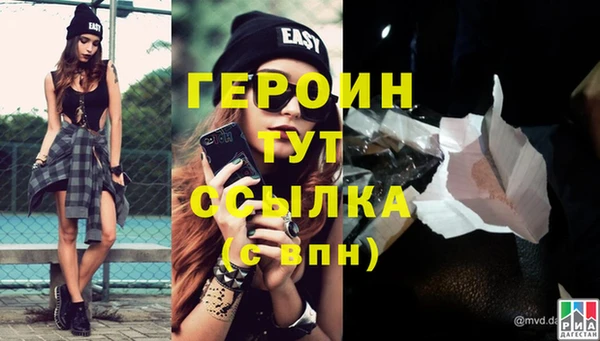 индика Бородино