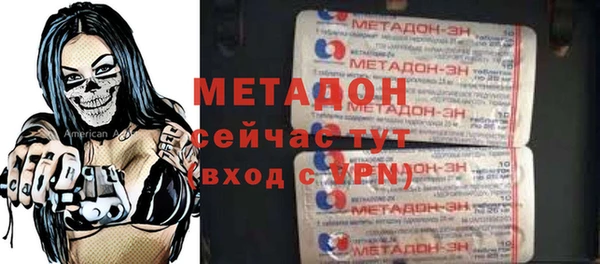 индика Бородино