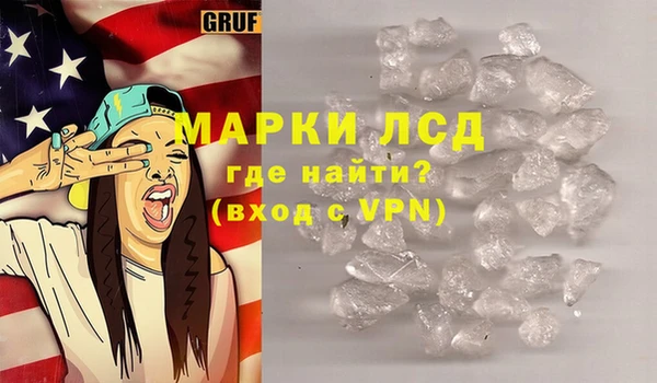 индика Бородино