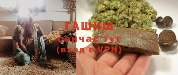 твердый Инсар