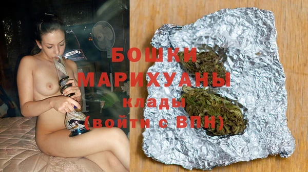 шишки Бронницы