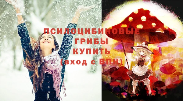 шишки Бронницы