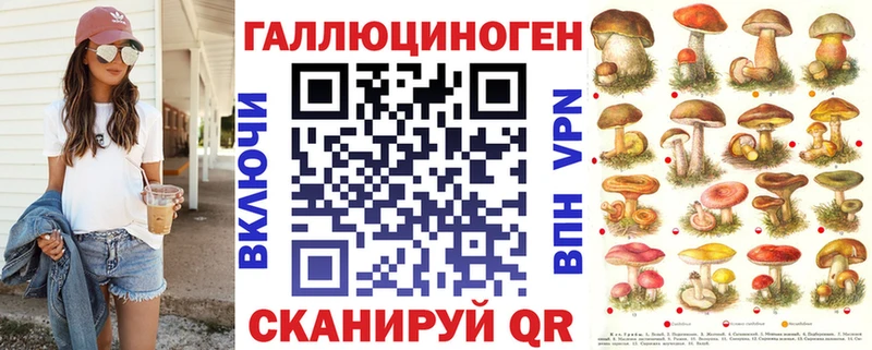 Галлюциногенные грибы Psilocybe Десногорск